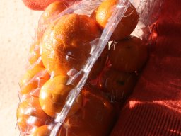 Kocsor Dorka muanyag taska 2008